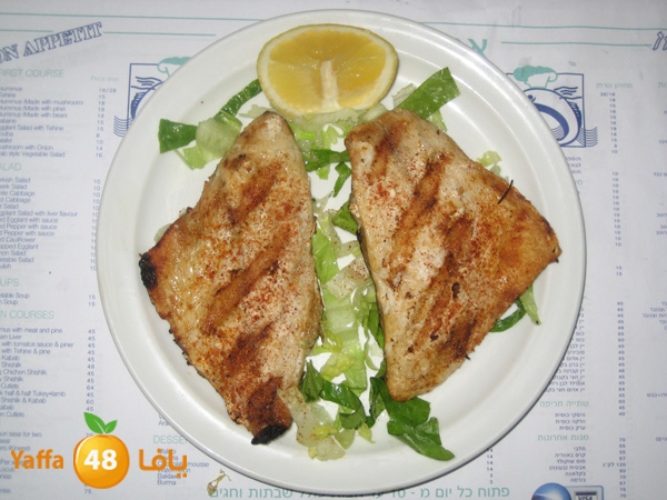 ahmadw saleem herts (12).JPG